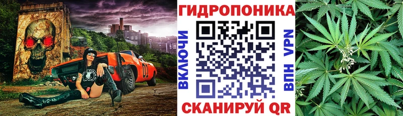 цены   Пыталово  Шишки марихуана планчик 
